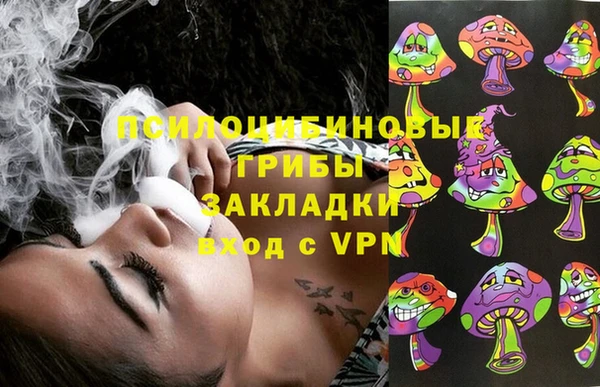 дживик Алапаевск