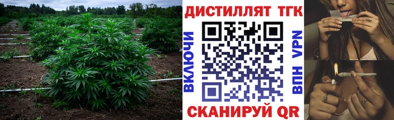 Дистиллят ТГК концентрат  МЕГА ссылка  Кострома  закладки 
