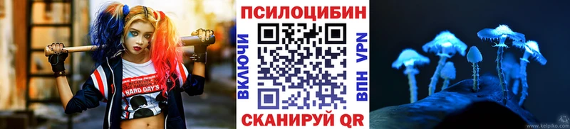 Псилоцибиновые грибы мухоморы  MEGA зеркало  Кострома 